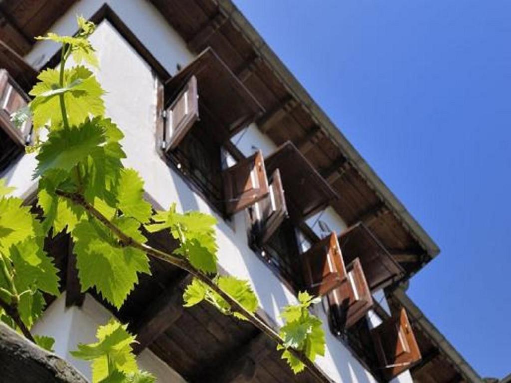 Hotel Stoikos Vizitsa Pokoj fotografie